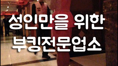 성남국빈관나이트: 화려한 밤의 향연, 잊지 못할 경험